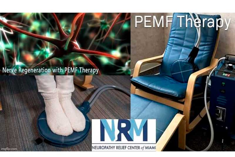 Effects of electromagnetic field (PEMF) exposure at different frequency and duration on the peripheral nerve regeneration - Effects of electromagnetic field (PEMF) exposure at different frequency and duration on the peripheral nerve regeneration