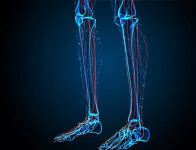 Sensory Neuropathy occurs when the peripheral nerves, responsible for transmitting sensory signals such as touch, temperature, and pain from the body to the brain, are damaged. 